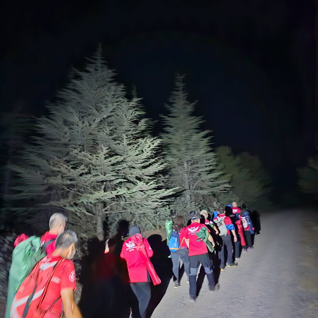 Kent Ormanı gece yürüyüşü